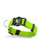 My Family Memopet Hundehalsband Lime Klein 26 - 37cm