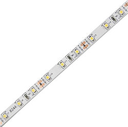Geyer Ταινία LED 12V Θερμό Λευκό 5m