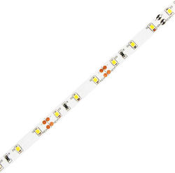 Geyer Ταινία LED 12V Θερμό Λευκό 5m
