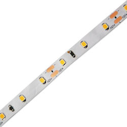 Geyer LED Strip 24V 5m Inspired SMD2835