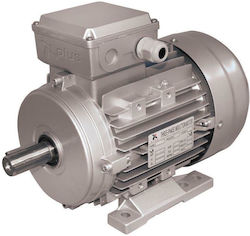 Plus MS100L22 Τριφασικός Ηλεκτροκινητήρας 5.5hp 2800rpm