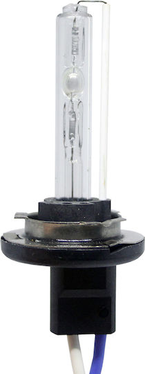 Lampen Auto H15 Xenon 6000K Kaltes Weiß 35W 1Stück