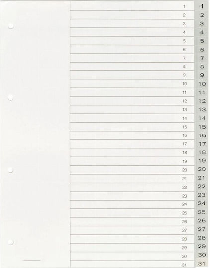 Exas Paper Plastic Dividers for Documents A4 with Holes 31pcs