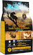 Ambrosia Cat & Kitten Trockenfutter ohne Getreide für junge Katzen mit Türkei 1.5kg