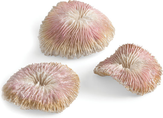 Oase biOrb Plate Coral Set Aquarium Ornament Artificial Plant
