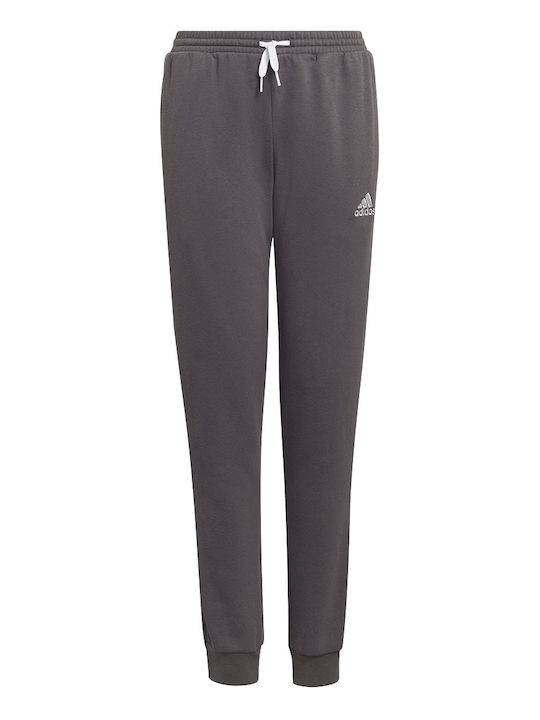 adidas Entrada22 Γκρι