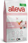 Diusapet Alleva Equilibrium Chicken Kitten 10kg