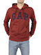 Sweatshirt with Hood Brown