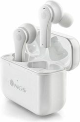 NGS Artica Bloom