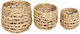 JK Home Decoration Decorative Basket Garden Wicker Set of 3 pieces 36x30cm-28x26cm-22x21cm 56572