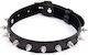 Fetish Addict Adjustable Collar with Spikes 43cm Collar Black