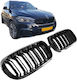 Carner Декоративна маска за кола Chrysler Визия BMW X5 (F15) / X6 (F16) / M4