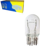 Trifa Lămpi T20 / W21/5W Halogen 12V 1buc