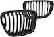 Car Decorative Mask BMW X1 (E84)
