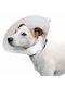 Ferplast Veterinary Dog Collar in Transparent color 100mm x 22 - 25cm 86005800