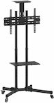 Equip 650603 650603 TV Mount Floor up to 70" and 50kg