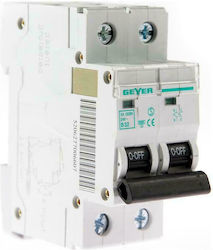 Geyer 2-Poles Automatic Circuit Breaker 32A EA132BN