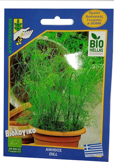 Geniki Fytotechniki Athinon Seeds Dill Organic Cultivation 10gr