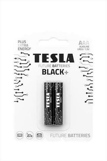 Tesla Batteries Black+ Alkaline Batterien AAA 1.5V 2Stück