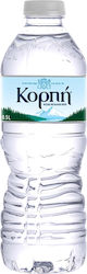 Korpí Apă Plata Minerală Naturală 500ml Korpí Apă Plata Minerală Naturală 500ml