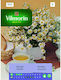 Vilmorin Seeds Chamomile 0.2gr