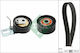 INA Set of Car Engine Belt for Peugeot 308 Citroen C3 1.6 HDi 530069810