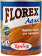 CHrotech Florex Aqua Surface Varnish Water Colo...