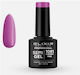 Elixir Semi Gel Ημιμόνιμο Βερνίκι Νυχιών 1081 C...