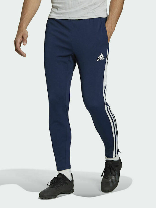 Adidas Condivo 22 Παντελόνι Φόρμας Navy Μπλε