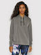 Under Armour Rival Women's Hooded Sweatshirt Gray