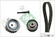INA Set of Car Engine Belt for Fiat Brava / Bravo / Doblo / Strada 530062310