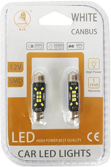 Carner Lamps Car Canbus LED 12V 2pcs