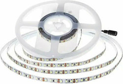 V-TAC Bandă LED Alimentare 24V cu Lumină Alb Cald Lungime 5m și 168 LED-uri pe Metru