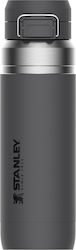 Stanley Go Quick Flip Bottle Thermos Stainless ...