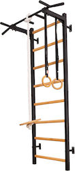 BenchK 222B Multi-Function Gym Equipment BenchK 222B Multi-Function Gym Equipment