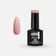 Lorin Halb-permanenter Nagellack 115 Shiny Nuse...