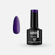 Lorin Halb-permanenter Nagellack 358 Rasin 8ml ...