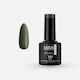Lorin Semipermanent Lac de Unghii 351 Fern 8ml ...