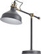 Emos Harry Office Lamp with Foldable Arm in Gray Color