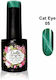Gellie Semi-Permanent Nail Polish CT 005 Cat Ey...