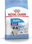 Royal Canin Puppy Giant 15kg Ξηρά Τροφή για Κουτάβια Μεγαλόσωμων Φυλών με Καλαμπόκι, Πουλερικά και Ρύζι