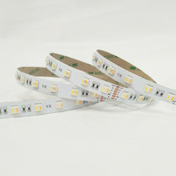 VK Lighting VK/24/5050/CCT/60 LED Strip Power Supply 24V RGBW Length 5m and 60 LEDs per Meter SMD2835