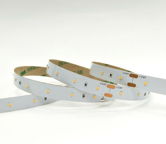VK Lighting LED Strip 24V Natural White Light 5m Type SMD2216