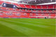 Evotris Semințe Gazon Wembley Portocaliu 500gr