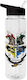 Pyramid International Harry Potter Kids Water Bottle Harry Potter Plastic with Straw Transparent 540ml