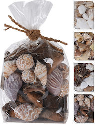 Zaros YD002 Decorative Shells