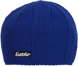 Eisbär