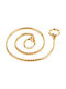 Pet Interest Brass Snake Chain Dog Choker Chain in Gold color 3XL 5.5mm x 60cm