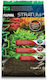 Fluval Plant And Shrimp Stratum 2kg