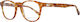Gant Plastic Eyeglass Frame Brown Tortoise GA3235 053